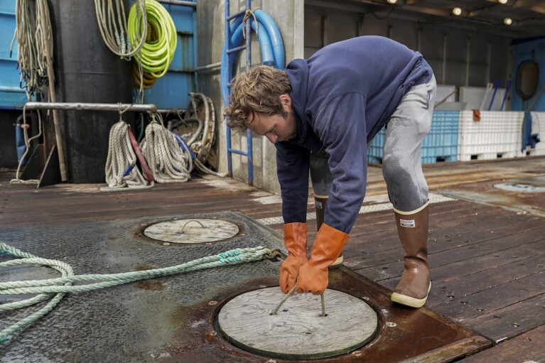 Sam Stern, a deckhand on the Big Blue, places a cover on the boat's deck after delivering salmon at a cannery, Sunday, June 25, 2023, in Kodiak, Alaska. (AP Photo/Joshua A. Bickel)