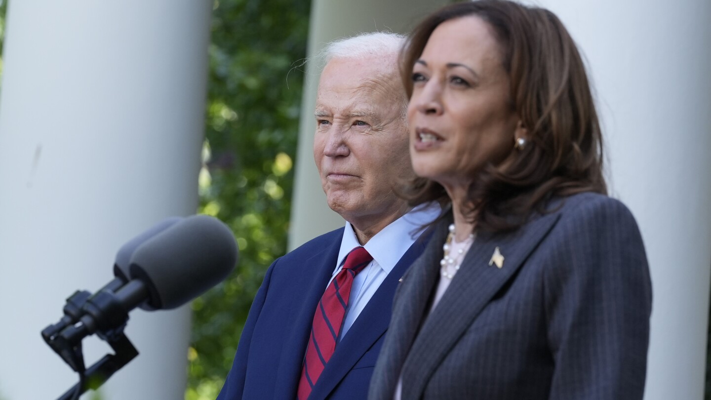 Election 2024: Democrats promise 'orderly process' to replace Biden but questions remain