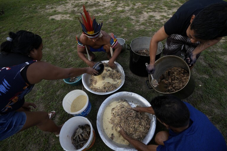 Indigenous Tembe prepare food in the Tenetehar Wa Tembe village in the Alto Rio Guama Indigenous territory in the Paragominas municipality of the Para state of Brazil, Sunday, June 11, 2023. (AP Photo/Eraldo Peres)