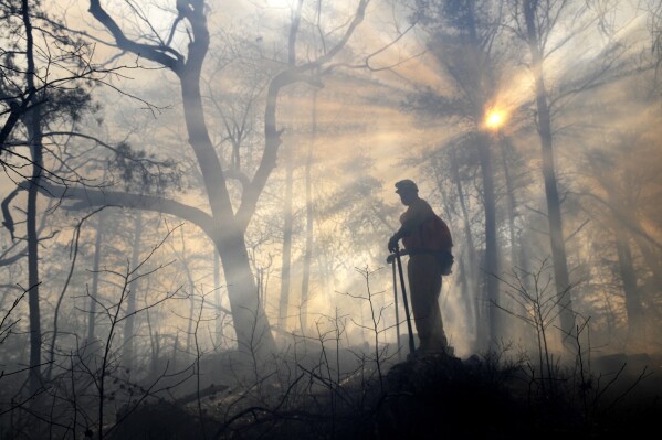FILE -A member of the Bridge Crew watches over a fire line, Wednesday, Jan. 6, 2010, in case the prescribed burn jumps the line and ignites on the other side of Kings Pinnacle in Crowders Mountain State Park in Gastonia, N.C. As the U.S. tries to restore a key forest ecosystem in the Southeast, landowners must light more fires on private property. The so-called “prescribed burns” are key to clearing forest debris and allowing pine cones to drop seeds onto the floor. (John D. Simmons /The Charlotte Observer via AP, File)