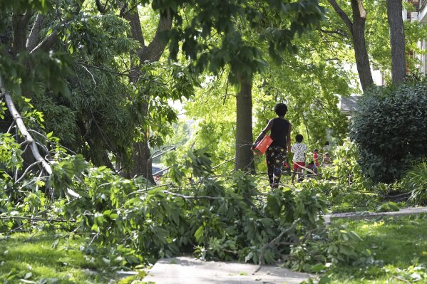 People navigate downed trees left in the wake of a severe storm moved through Friday, May 16, 2025, in St. Louis. (AP Photo/Jeff Roberson)