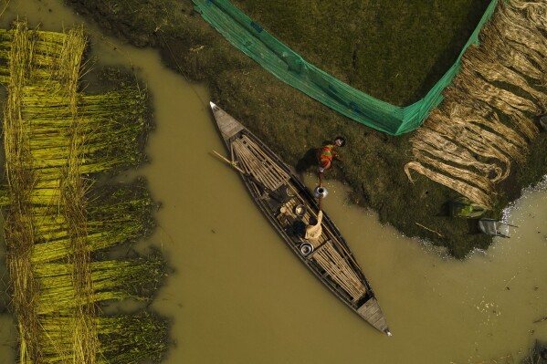 Yaad Ali, 55, hands over a pot to his wife Monuwara Begum, 45, after reaching a higher ground in the floodwaters in Sandahkhaiti, a floating island village in the Brahmaputra River in Morigaon district, Assam, India, Wednesday, Aug. 30, 2023. (AP Photo/Anupam Nath)