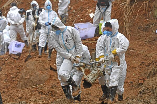 In this photo released by Xinhua News Agency, rescuers carry a piece of plane wreckage at the site of Monday's plane crash in Tengxian County, southern China's Guangxi Zhuang Autonomous Region, Friday, March 25, 2022. Construction excavators dug into the crash site Saturday in the search for wreckage, remains and the second black box from a China Eastern 737-800 that nosedived into a mountainside in southern China this week with 132 people on board. (Zhou Hua/Xinhua via AP)