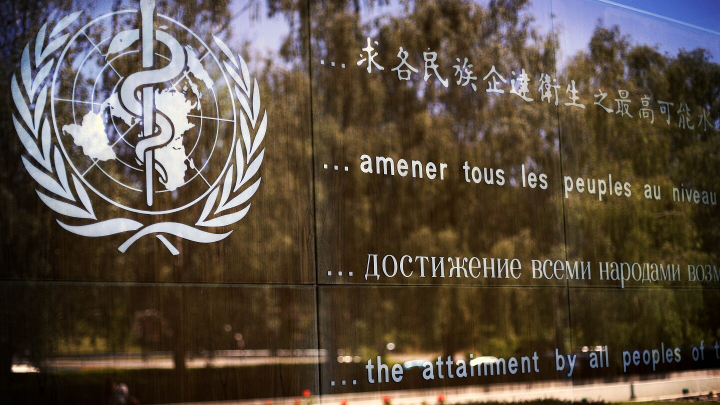 Top Donors of the World Health Organization: A Comprehensive List