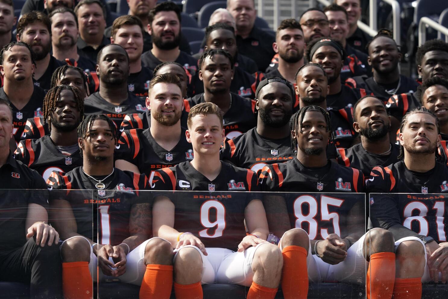 football team the bengals