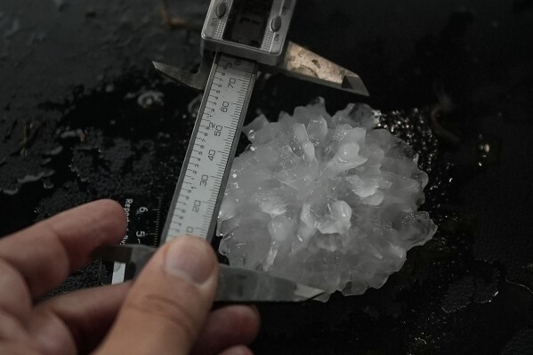 Forensic engineer Tim Marshall measure a large hail shaped like a rose between the front seats of Northern Illinois University's Husky Hail Hunter during a Project ICECHIP operation Friday, June 6, 2025, in Morton, Texas. (AP Photo/Carolyn Kaster)
