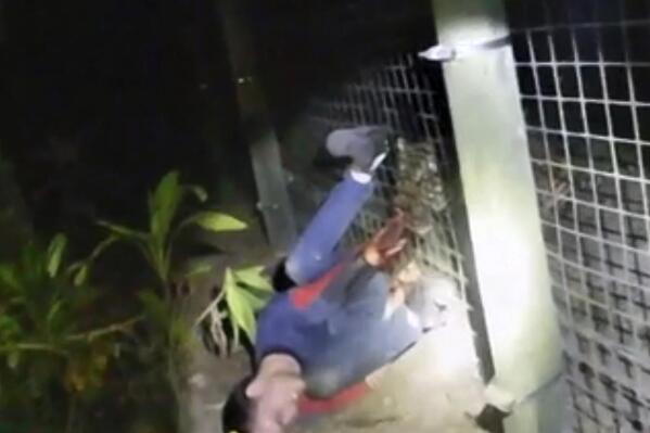 EDS NOTE: GRAPHIC CONTENT - This photo from police body camera footage provided by the Collier County Sheriff's Office shows a Malayan tiger grabbing the arm of a man at the Naples Zoo in Naples, Fla. The Collier County Sheriff's Office said the man was seriously injured Wednesday evening Dec. 29, 2021 when he entered an unauthorized area near the tiger's enclosure at Naples Zoo at Caribbean Gardens. (Collier County Sheriff's Office via AP)
