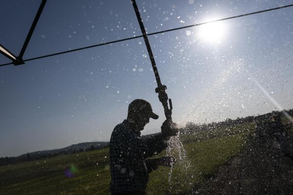 Matt Lisignoli shuts off an irrigation sprinkler at his farm, Smith Rock Ranch, in the Central Oregon Irrigation District on Tuesday, Aug. 31, 2021, in Terrebonne, Ore. The stark contrast between the water haves and have-nots two hours southeast of Portland has brought new urgency to efforts to share the resource. Proposals to create "water banks" or "water markets" would allow farmers with excess water to "lease" it to those in need. (AP Photo/Nathan Howard)