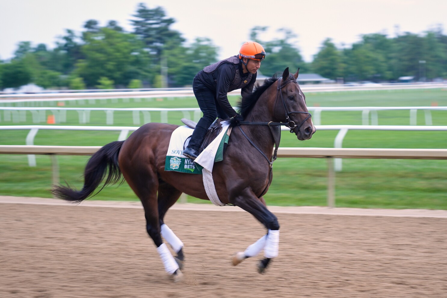 Belmont is Kentucky Derby rematch between Sovereignty and Journalism