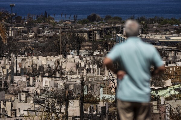 A man views the aftermath of a wildfire in Lahaina, Hawaii, Saturday, Aug. 19, 2023. (AP Photo/Jae C. Hong)