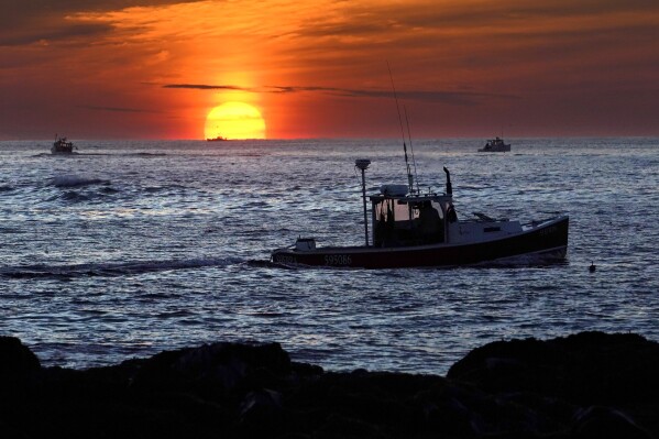 FILE - Lobster fishermen work at sunrise, Thursday, Sept. 8, 2022, off Kennebunkport, Maine. The waters off New England logged the second-warmest year in their recorded history in 2022, according to researchers. (AP Photo/Robert F. Bukaty, File)