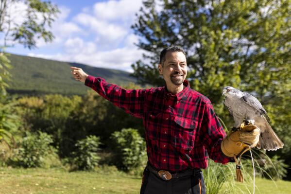 A northern goshawk rests on the hands of Mike Dupuy, a falconer from Middleburg, Pa., Friday, Oct. 1, 2021. Dupuy, Falconer gestures towards the mountains near his home where he explores looking for Goshawk nests.   (Tyger Williams/The Philadelphia Inquirer via AP)