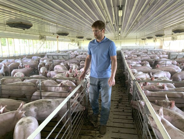 FILE - In this Tuesday, June 25, 2019, file photo, farmer Matthew Keller walks through one of his pig barns near Kenyon, Minn.  President Donald Trump spent four years upending seven decades of American trade policy. He started a trade war with China, slammed America’s closest allies by taxing their steel and aluminum and terrified Big Business by threatening to take a wrecking ball to $1.4 trillion in annual trade with Mexico and Canada. Trump’s legacy on trade is likely to linger, regardless whether Joe Biden replaces him in the White House in January 2021. (AP Photo/Jeff Baenen)