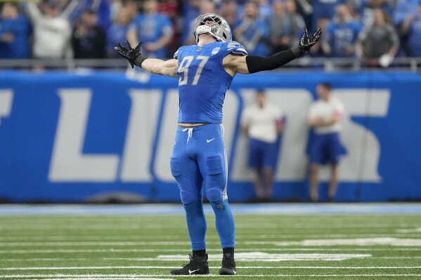 NFL playoffs: Lions advance to NFC title game with 31-23 win over  Buccaneers