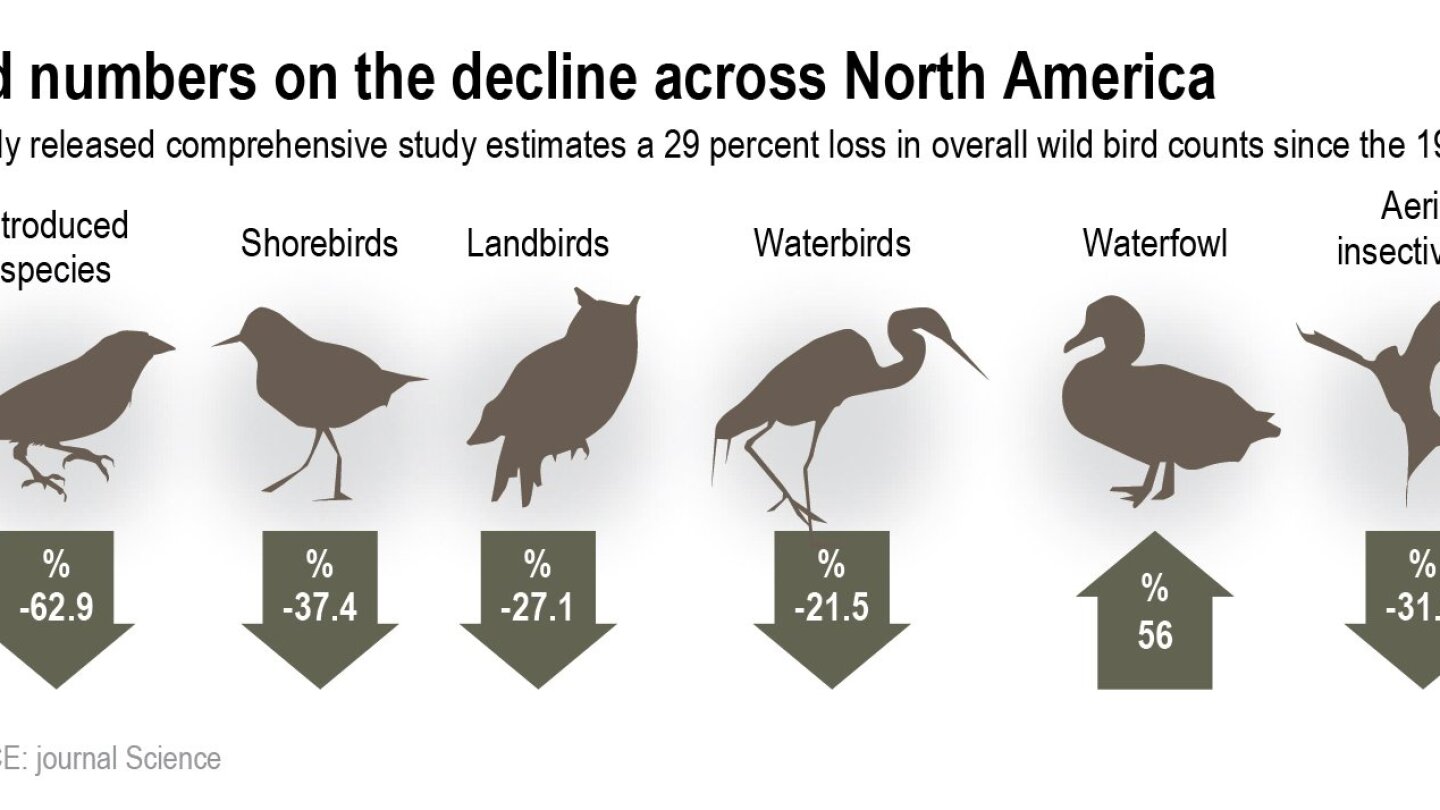 The demography of extinction in eastern North American birds