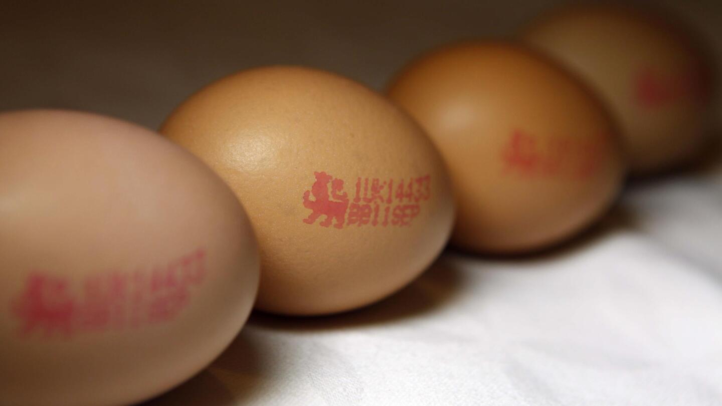 Salmonella vaccine may help prevent egg recalls AP News