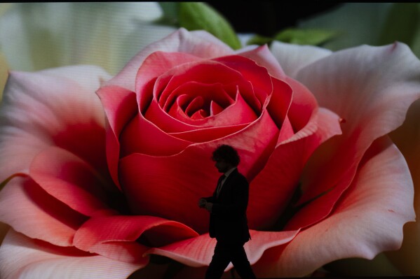 FILE - A man walks in front of an image of a flower created with artificial intelligence by artist Refik Anadol ahead of the World Economic Forum in Davos, Switzerland, Jan. 14, 2024. European Union lawmakers are set to give final approval to the 27-nation bloc's artificial intelligence law Wednesday, putting the world-leading set of rules for the fast-developing technology on track to take effect later this year. (AP Photo/Markus Schreiber, File)