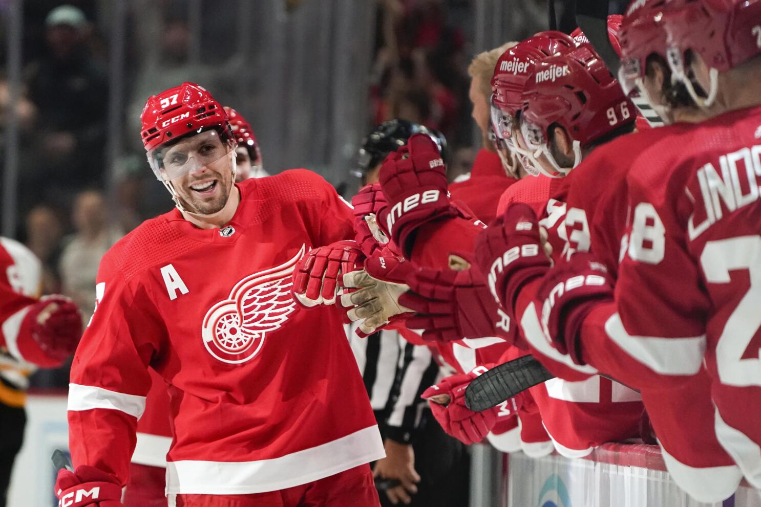 Detroit Red Wings - The Detroit Red Wings today recalled left wing