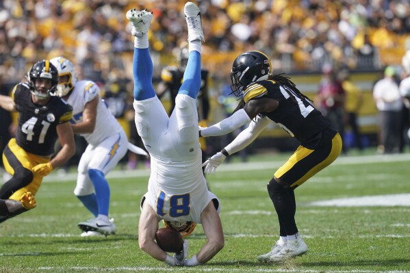 Image Donte Jackson image beautiful image beautiful image beautiful - The Pittsburgh Steelers don't play a pretty brand of football ...