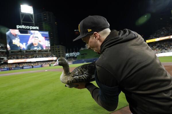 T-Padres' new mascot makes first appearance - Ballpark Digest