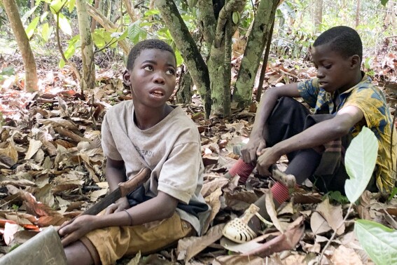 In this April, 2020 image provided by International Rights Advocates, children from Burkina Faso are seen resting while working on a cocoa plantation in Ivory Coast in Daloa. Child welfare advocates are suing the Biden administration for failing to block imports of cocoa picked by children in West Africa bound for America’s most popular chocolate bars. (Terrence Collingsworth/International Rights Advocates via AP)