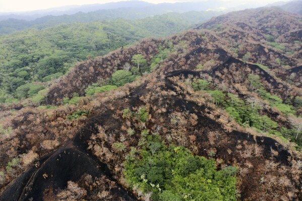 This image provided by the Hawaii Department of Land and Natural Resources shows a charred mountain ridge near Mililani, Hawaii, Tuesday, Nov. 7, 2023. A wildfire burning in a remote Hawaii rainforest on Oahu is underscoring a new reality for the normally lush island state just a few months after a devastating blaze on a neighboring island leveled an entire town and killed at least 99 people. (Ryan Aguilar/Hawaii Department of Land and Natural Resources via AP)