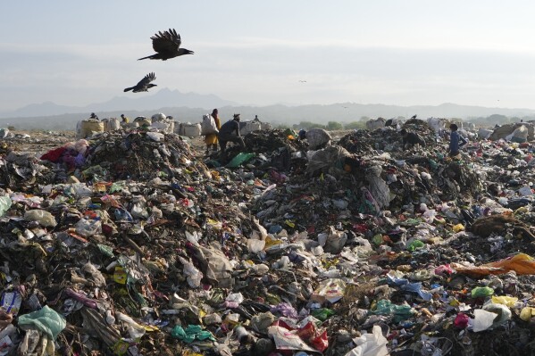 Indian rag pickers look for reusable material at a garbage dump filled with plastic and other waste material on the outskirts of Jammu, India, April 22, 2024. (AP Photo/Channi Anand, File)
