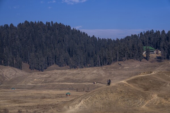 Kashmiris walks on grassy, snowless ski slopes in Gulmarg, northwest of Srinagar, Indian controlled Kashmir, Saturday, Jan. 13, 2024. There is hardly any snow at Asia's largest ski terrain in Gulmarg where thousands of domestic and international tourists would usually visit to ski and sledge its stunning snowscape in winter.(AP Photo/Dar Yasin)