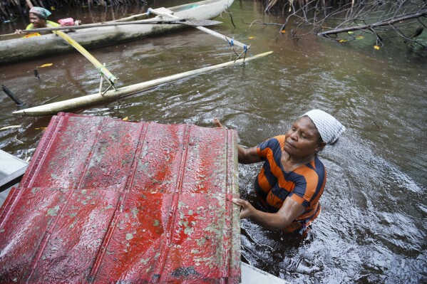 Paula Hamadi cleans up trash as she collects clams in a mangrove forest where only women are permitted to enter in Jayapura, Papua province, Indonesia on Wednesday, Oct. 2, 2024. (AP Photo/Firdia Lisnawati)