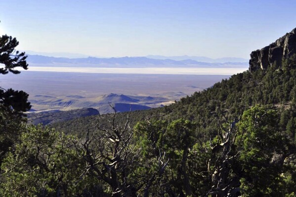 This undated image provided by the Southern Utah Wilderness Alliance, pinyon pine and juniper trees grow on a mountain range north of Sevier Lake in Millard County, Utah. Environmentalists filed a lawsuit on Monday, July 31, 2023, to prevent the construction of a new potash mine that they say would devastate a lake ecosystem in the drought-stricken western Utah desert. (Southern Utah Wilderness Alliance via AP)