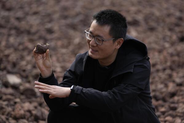 Fang Yuan, an engineer with Turenscape which helped design the "Fish Tail" sponge park that's built on a former coal ash dump site, holds up a permeable volcanic rock to show a plant sprouting from it in Nanchang in north-central China's Jiangxi province on Sunday, Oct. 30, 2022. Yuan said the park serves as “an ecological aquarium,” capable of retaining 1 million cubic meters of water during floods and can keep water in use, instead of just discharging it into the sewage system. (AP Photo/Ng Han Guan)