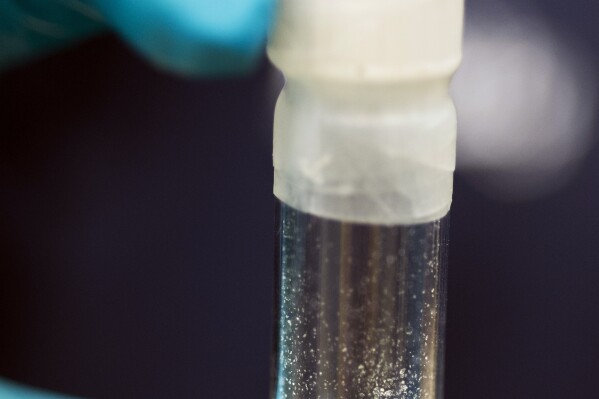 FILE - A vial containing 2mg of fentanyl, is displayed at the Drug Enforcement Administration (DEA) Special Testing and Research Laboratory in Sterling, Va., Aug. 9, 2016. The US is announcing a series of indictments and sanctions against 14 people and 14 firms across China and Canada related to the import of fentanyl into the United States. It's one of the biggest actions the Biden administration has taken against the trafficking of the deadly drug. (AP Photo/Cliff Owen, File)