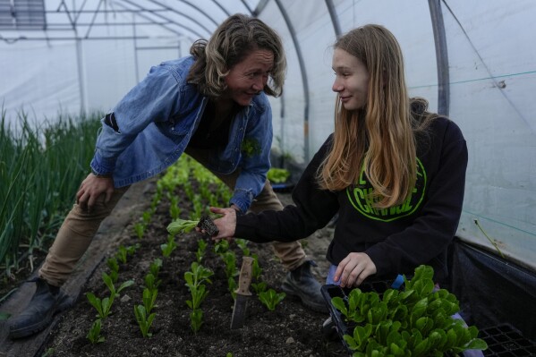 Mary Helen Rogers, right, hands a lettuce seedling to her mother, Katy, left, Friday, April 19, 2024, at Teter Retreat and Organic Farm in Noblesville, Ind. (AP Photo/Joshua A. Bickel)