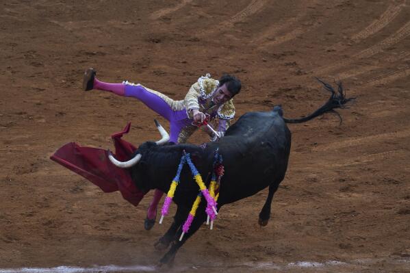 Arturo Macias plunges his sword into a bull during a bullfight at The Plaza de toros México bullring in Mexico City, Sunday, Feb. 20, 2022. This season's bullfights in Mexico City may be the last, as legislators in the city assembly seek to revive a bill banning the activity. (AP Photo/Fernando Llano)