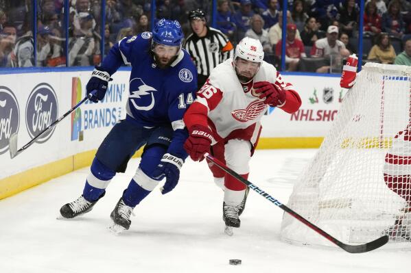 Detroit Red Wings defenseman Jake Walman (96) knocks the puck away from Tampa Bay Lightning left wing Pat Maroon (14) during the second period of an NHL hockey game Tuesday, Dec. 6, 2022, in Tampa, Fla. (AP Photo/Chris O'Meara)