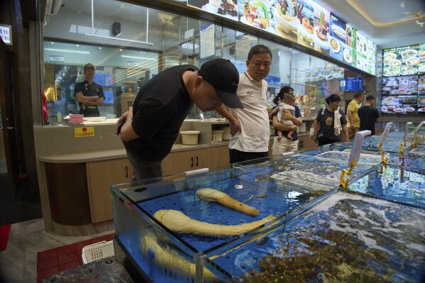 A customer looks at geoducks from Canada at a restaurant in Sanya in southern China's Hainan province on April 25, 2025. (AP Photo/Ng Han Guan)