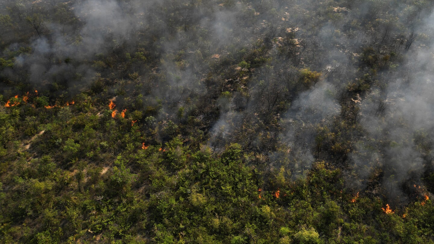Bombeiros brasileiros combatem incêndios florestais durante uma rara onda de calor no final do inverno