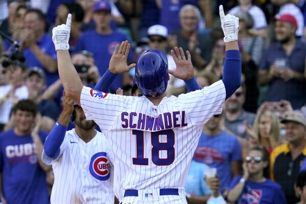 Cubs' Wisdom, Schwindel looking to build on 2021 season