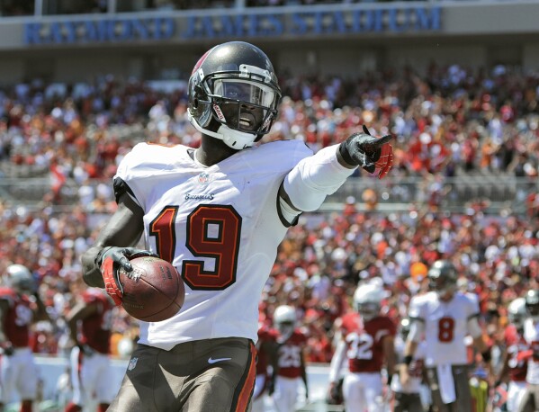 FILE- -Tampa Bay Buccaneers wide receiver Mike Williams (19) celebrates after catching a touchdown pass from quarterback Mike Glennon during the first quarter of an NFL football game against the Arizona Cardinals Sunday, Sept. 29, 2013, in Tampa, Fla. Former NFL receiver Mike Williams, who was injured in a construction accident two weeks ago and later put on a ventilator, died Tuesday, Sept. 12, 2023, his agent said. He was 36. Williams, who played for the Buccaneers and Buffalo Bills from 2010-14, died at St. Joseph’s Hospital in Tampa, agent Hadley Engelhard said. (AP Photo/Brian Blanco, File)