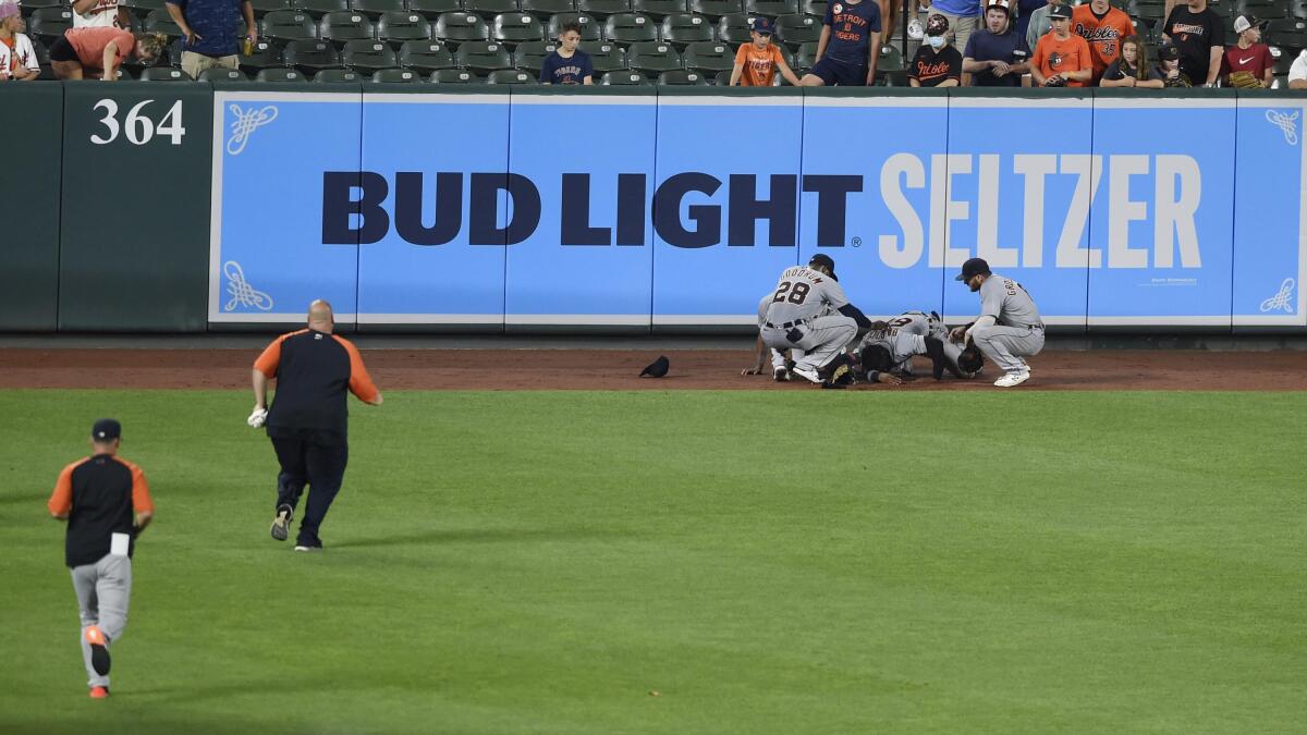 Detroit's Baddoo, Hill go on IL after outfield collision