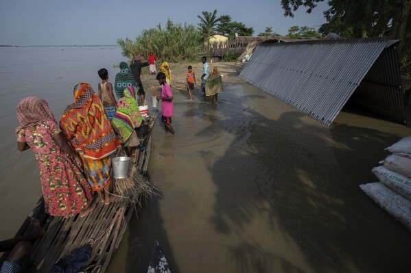Villagers reach higher ground after they left their submerged house in Sandahkhaiti, a floating island village in the Brahmaputra River in Morigaon district, Assam, India, Tuesday, Aug. 29, 2023. (APPhoto/Anupam Nath)