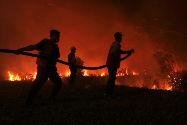 Firefighters attempt to extinguish fire that razes through a peatland field in Ogan Ilir, South Sumatra, Indonesia, late Thursday, Aug. 17, 2023. Forest and land fires in Indonesia are an annual problem that have strained relations with neighboring countries as the smoke from the fires could blanket parts of Singapore, Malaysia and southern Thailand in a thick noxious haze. (AP Photo/Muhammad Hatta)
