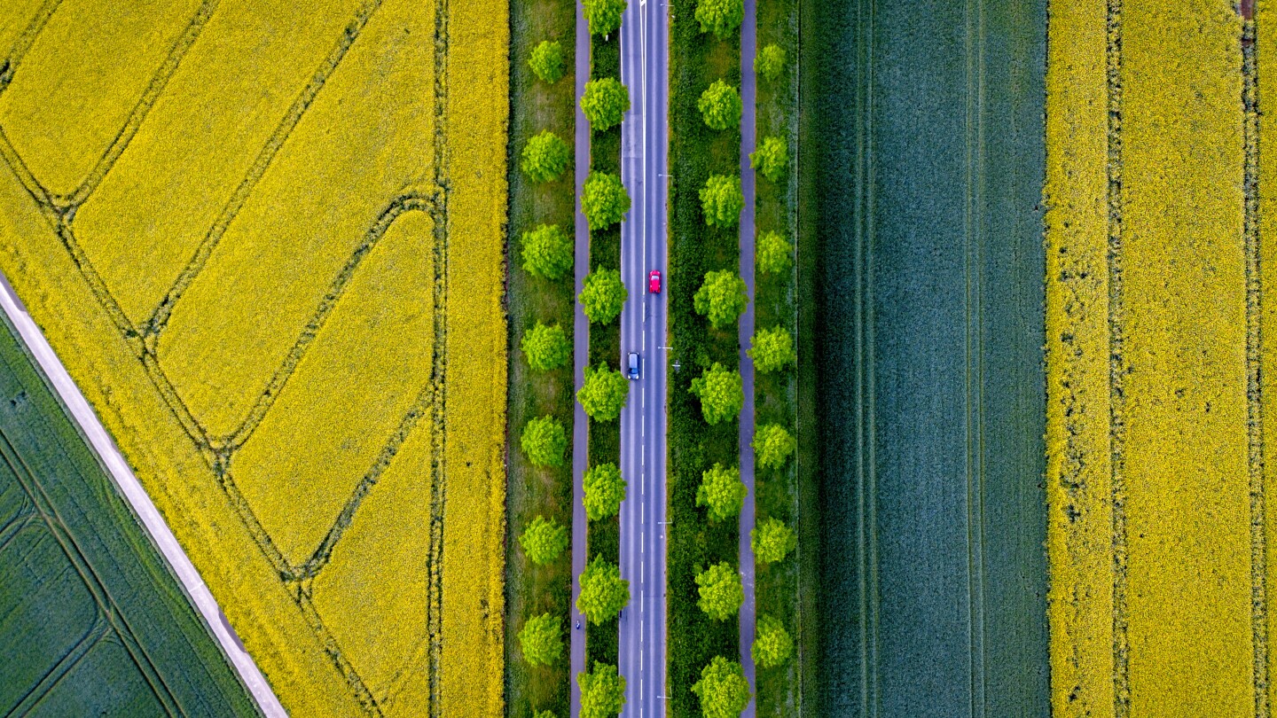 Фотограф на AP заслепява с гледка на дрон на цветно поле в Германия