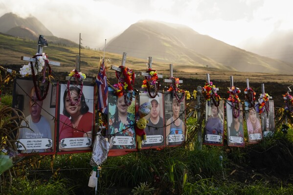 FILE - Photos of victims are displayed under white crosses at a memorial for the August 2023 wildfire victims, above the Lahaina Bypass highway, Dec. 6, 2023, in Lahaina, Hawaii. (AP Photo/Lindsey Wasson, File)