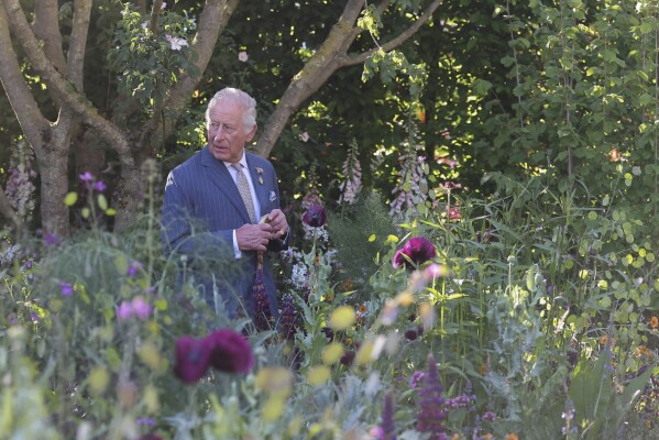 Britain's King Charles III, patron of the Royal Horticultural Society, visits the Chelsea Flower Show in London, Monday May 19, 2025. (Toby Melville/Pool via AP)