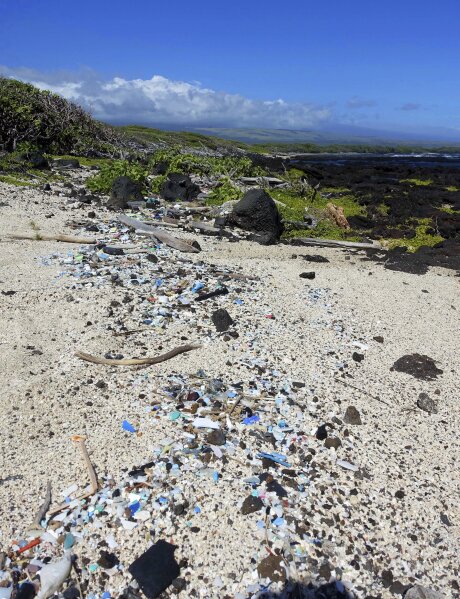 This Jan. 7, 2020 photo provided by the Hawaii Wildlife Fund shows plastic trash on Kamilo Beach in Naalehu, Hawaii. The U.S. Environmental Protection Agency has designated the waters of two remote beaches in Hawaii as being contaminated by trash, forcing the state to address the persistent problem of plastic deposited on its coastlines by swirling Pacific Ocean currents. (Megan Lamson, Hawaii Wildlife Fund via AP)