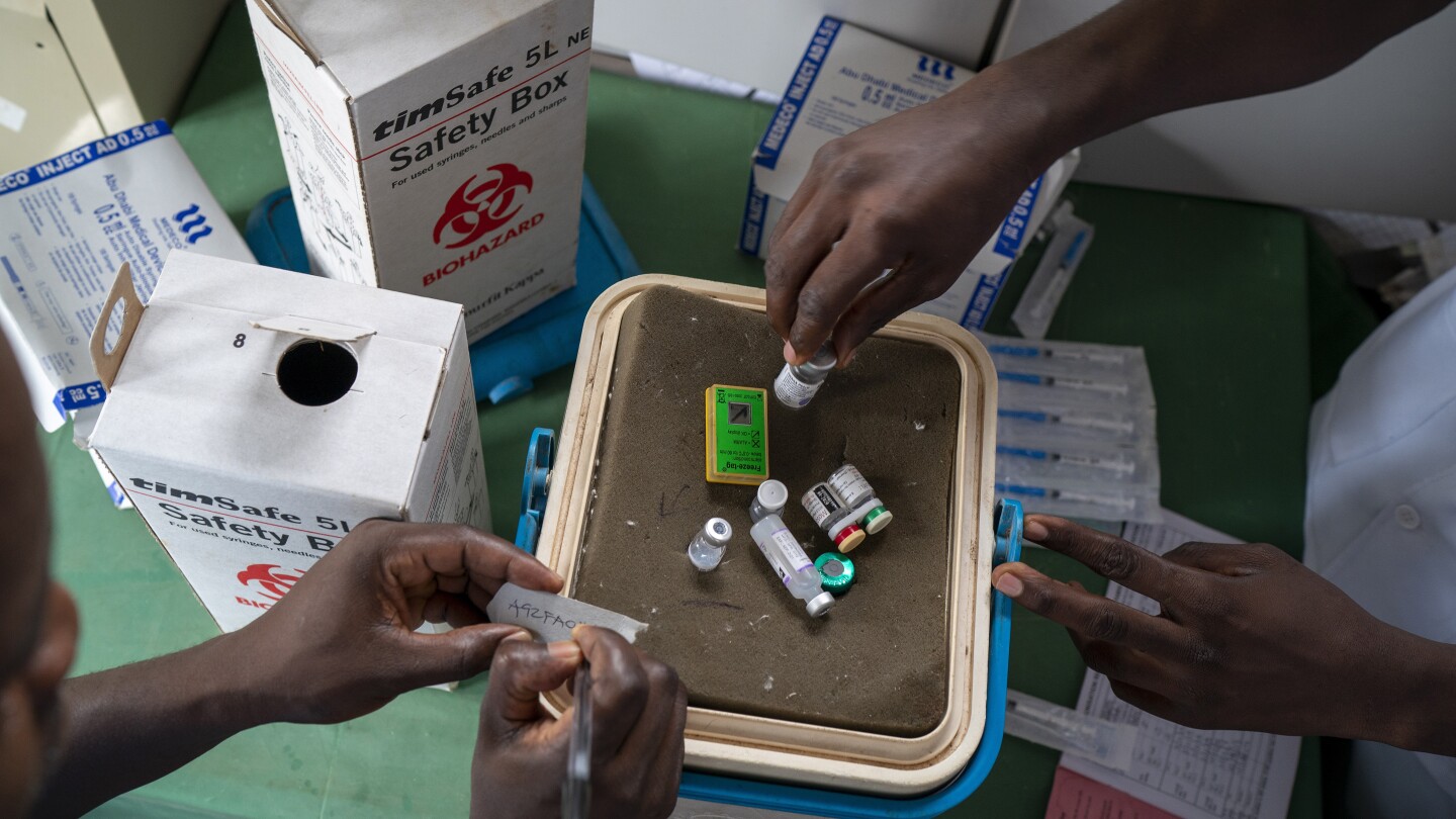 Камерун стартира първата в света програма за ваксина срещу малария за деца