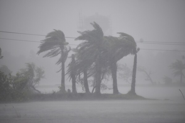 Trees swing during heavy winds and rains caused by Cyclone Remal along the coastal areas at Bakkhali, South 24 parganas, West Bengal, India, Monday, May 27, 2024. (AP Photo/Ashim Paul)