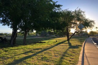 In this April 20, 2020, photo, a duck and her ducklings waddle along the greenbelt in Scottsdale, Ariz. For many, a morning run offers a quiet interlude in chaotic lives. Amid the coronavirus pandemic, they have become even more essential: an endorphin-rich routine that provides fresh air and clears the mind for the day ahead. (AP Photo/Alina Hartounian)