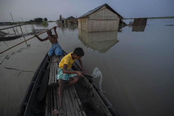 Yaad Ali, 55, left, and his son Musikur Alam, 14, row a boat in the floodwaters in Sandahkhaiti, a floating island village in the Brahmaputra River in Morigaon district, Assam, India, Tuesday, Aug. 29, 2023. (APPhoto/Anupam Nath)